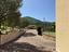 Immagine 7