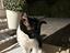 Immagine 3