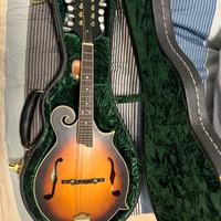 Mandolino Ashbury F-Style con Custodia rigida