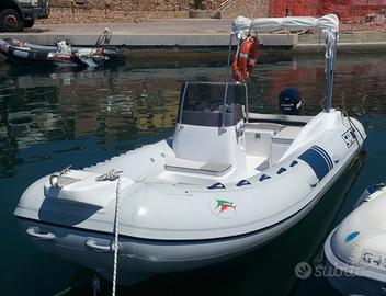 Tendalino Inox 316 per Rollbar