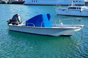 Boston Whaler Montauk 17