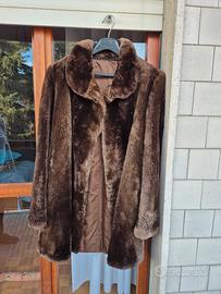Pelliccia castorino