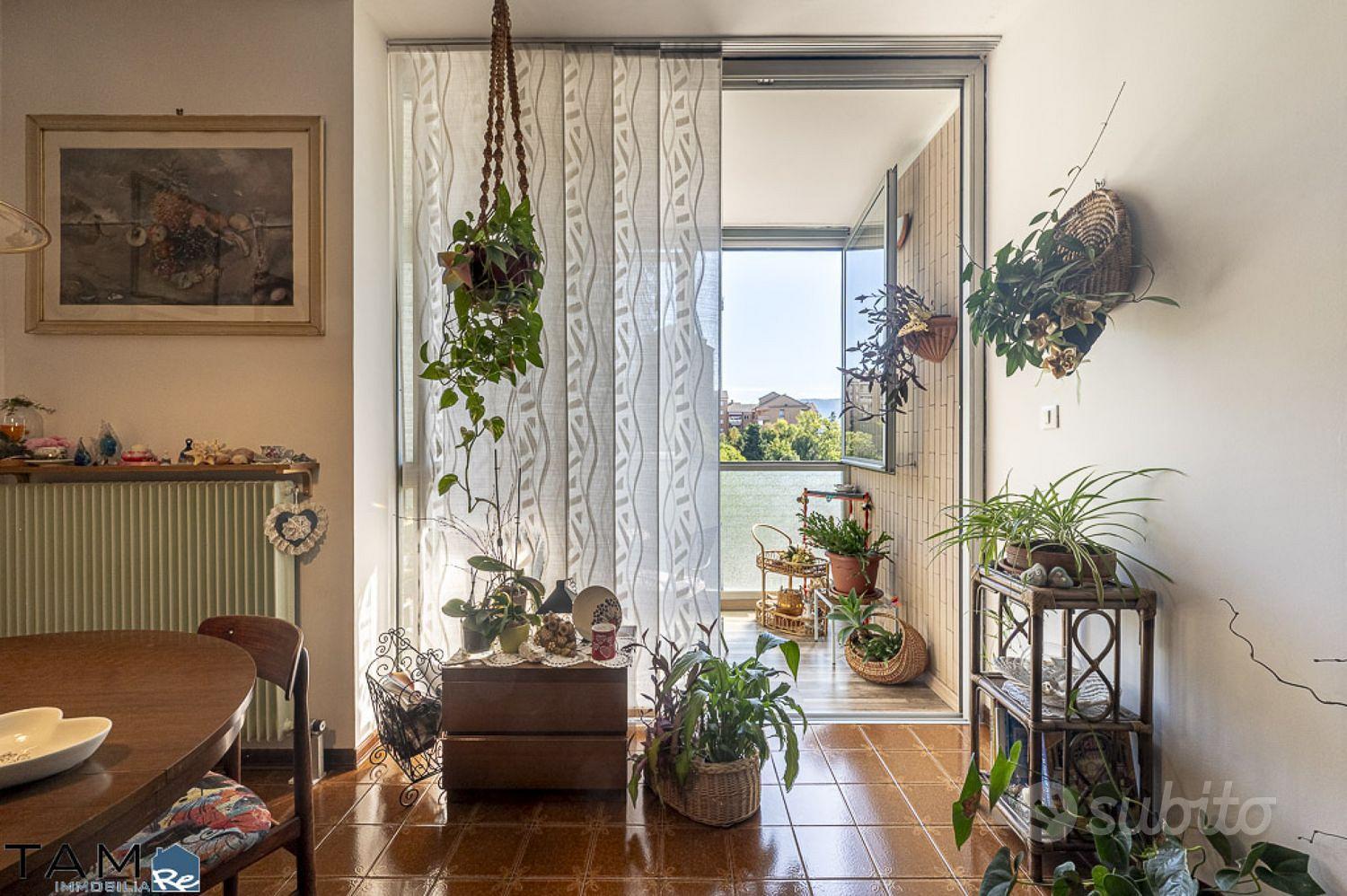 Appartamento – Trieste, Case ATER di Altura, Servola-Chiarbola-Valmaura-Borgo San Sergio - Vista 4