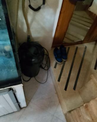 Acquario per pesci