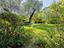 Immagine 28
