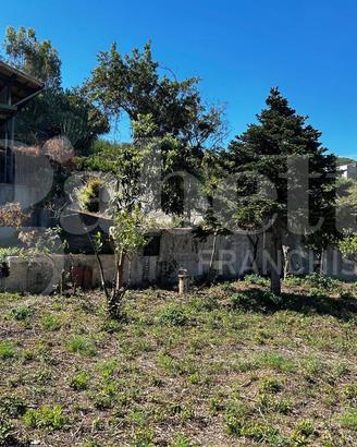 Terreno Agricolo Messina [Cod. rif 3225049VCG]