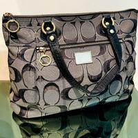 Coach Poppy Glam Signature Tote 17890 - Borsa a Sp