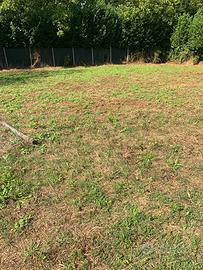 Terreno 11.000 mq vicino Roma