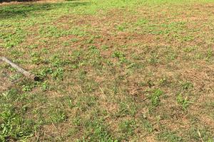 Terreno 11.000 mq vicino Roma
