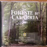 Dvd foreste calabri