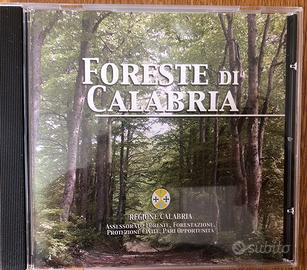 Dvd foreste calabri