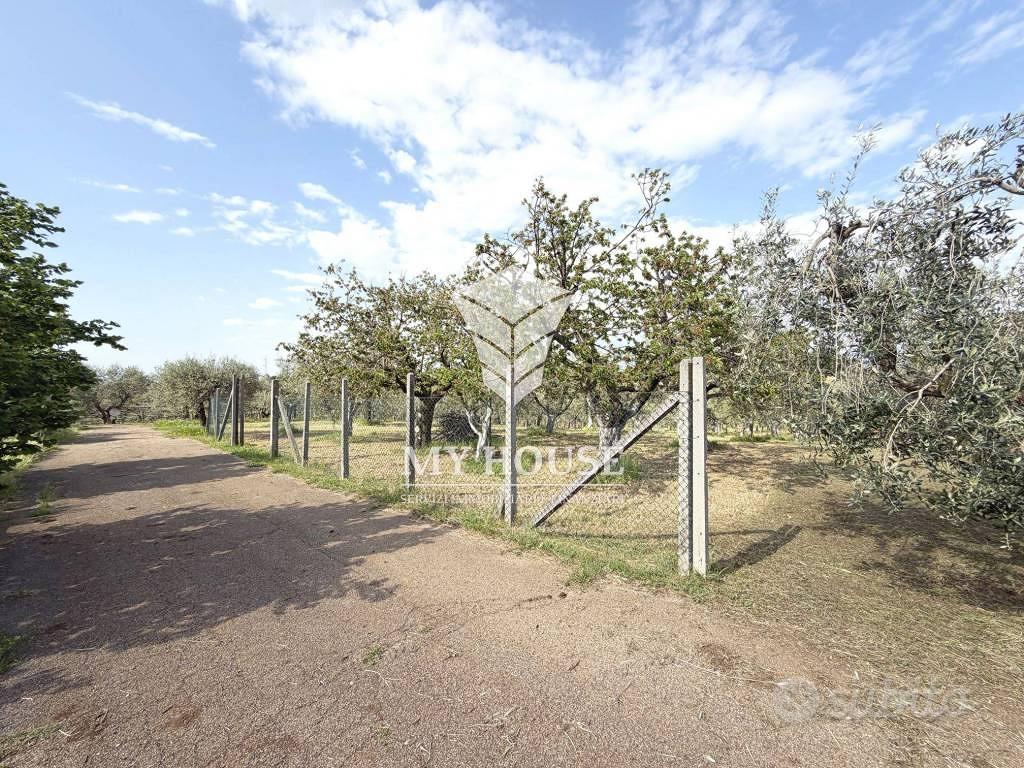 Terreno di 3700 m² a San Cesareo - Altro
