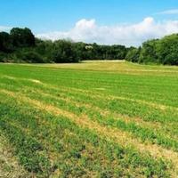Terreno agricolo di 13000 mq