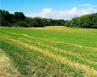 Terreno agricolo di 13000 mq
