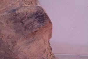 Pneumatici/gomme trattore agricolo 14.9R30