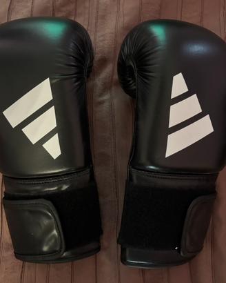 Guantoni Boxe 12 oz