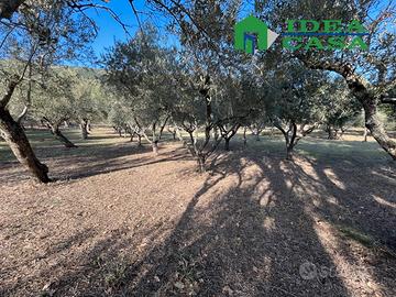 1.974 Terreno Agricolo Pianeggiante