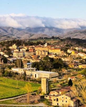 RUSTICO RISTRUTTURATO CON TERRENO A VICCCHIO - FIR