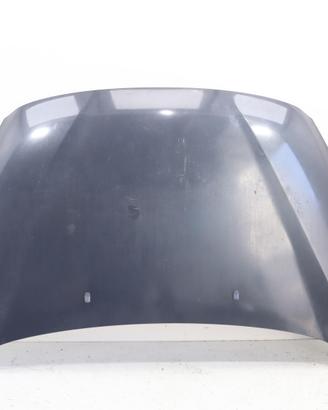 COFANO ANTERIORE FORD Fiesta 6° Serie 1774791 TZJ