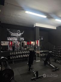 Palestra Casoria Napoli