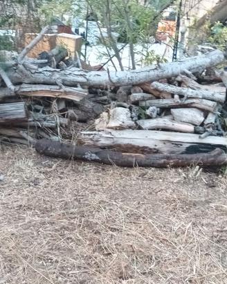 Legna varia da raccogliere zona Pellaro