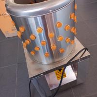 Spiumatrice per quaglie