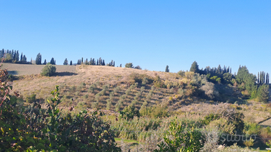 Terreno agricolo a Castelnuovo della Misericordia