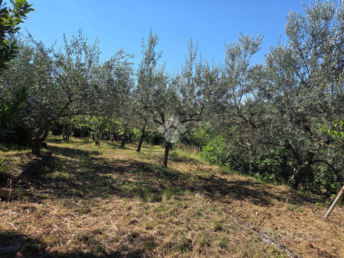 TER. AGRICOLO A MUGGIA - Vista 2