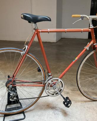 Bicicletta da città