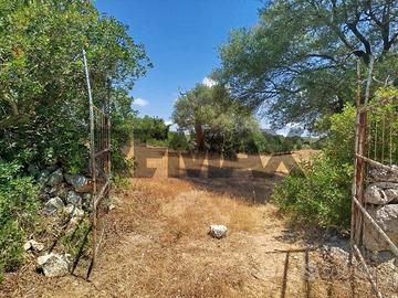 Terreno - Noto