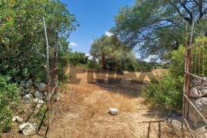 Terreno - Noto