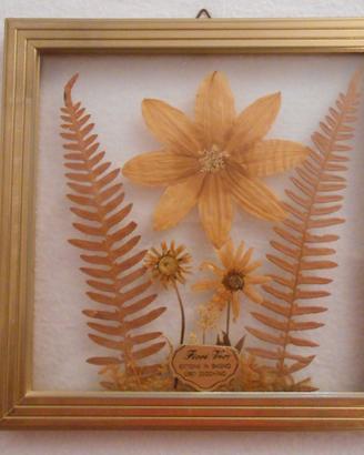 Quadretto fiori secchi