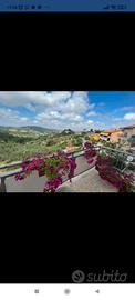 Casale maremma