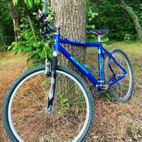 mountain bike bianchi