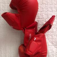 Guanti karate