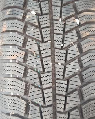 gomme da neve