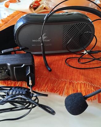 amplificatore voce