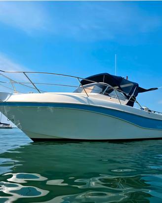 Faeton 730 Sport + Mercruiser 4.5Mpi V6 250cv