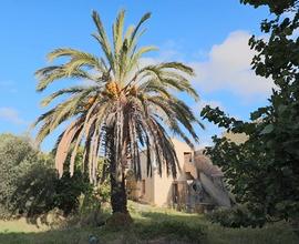 Casa indipendente a Settimo San Pietro