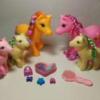 Pony e accessori