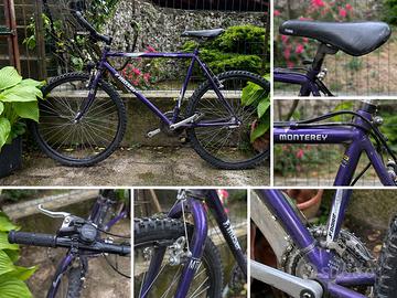Bici MTB vintage F. Moser Monterey anni 90