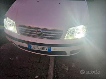 fiat punto 