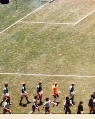Maradona 1986 Mondiale stampa di M. Peynetti