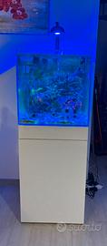 Acquario marino AQpet 50