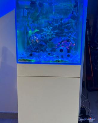 Acquario marino AQpet 50