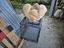 Immagine 2