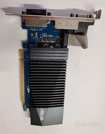 Scheda grafica GeForce GT 710 ASUSTek 2 Gb