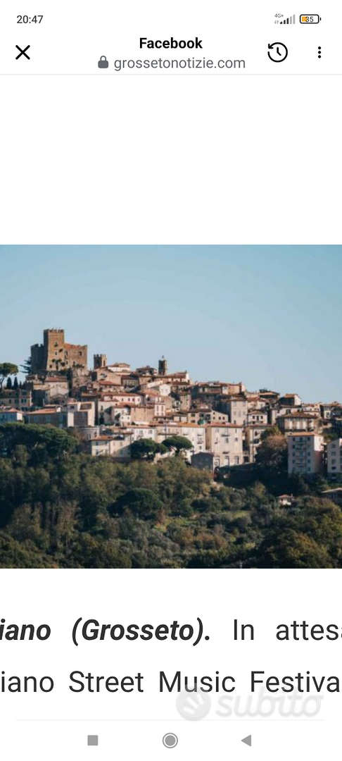 Ampio terreno con 100 piante di olivi edificabiei - Vista 5