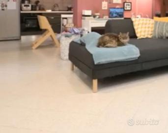 Castiglione della Pescaia 160 metri dal mare