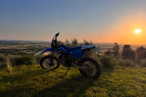 TM 250 4T